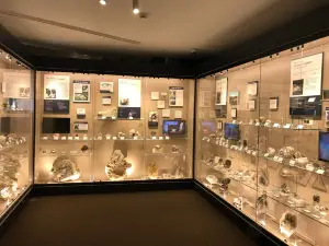 Maine Mineral and Gem Museum