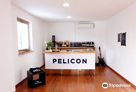 Pelicon Brewery