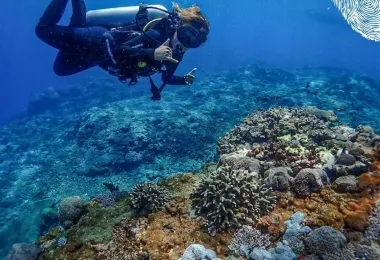 亞洲Scuba中心 熱門景點照片