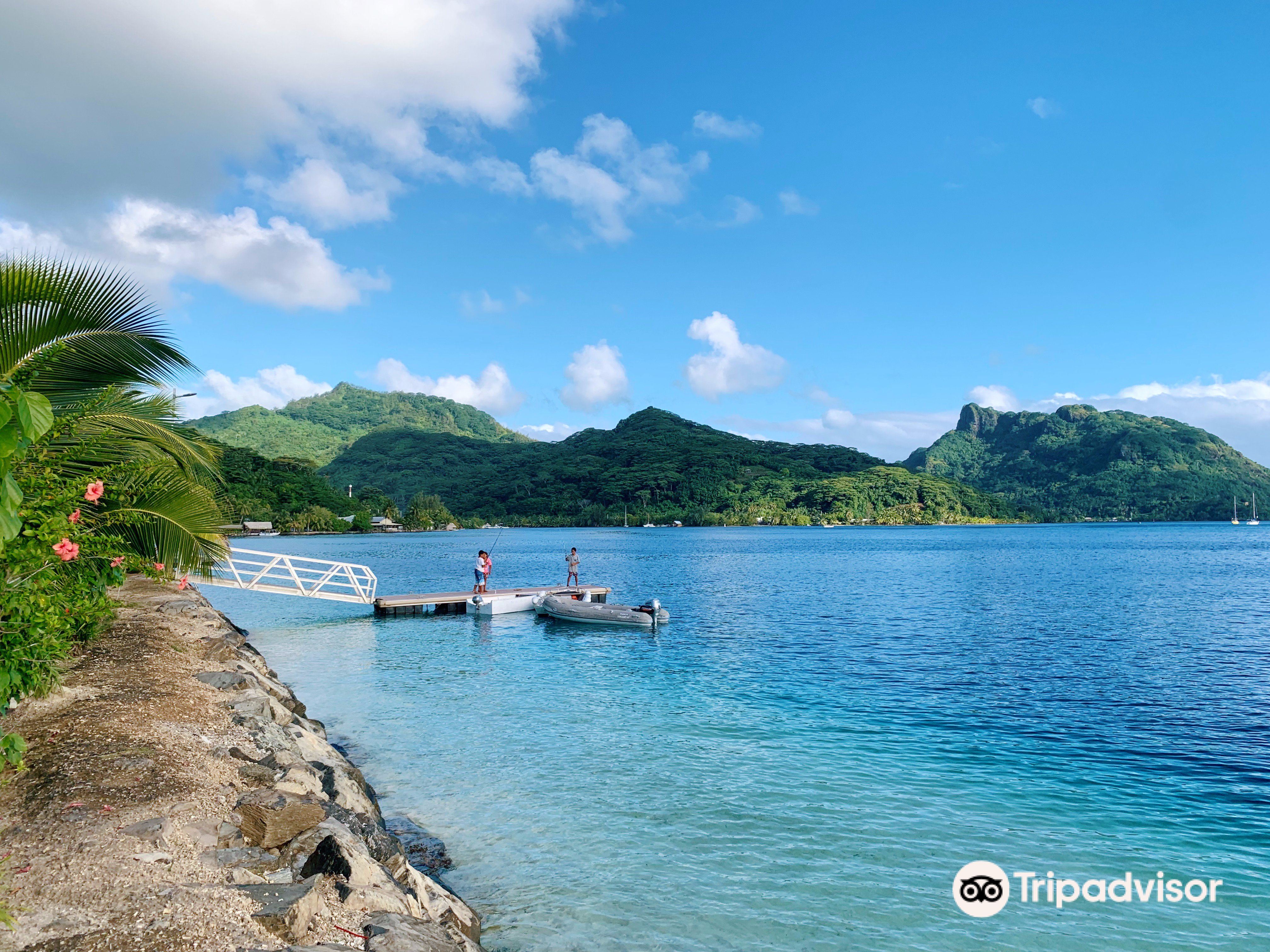 Island Shaped Like A Woman