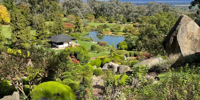 are dogs allowed in cowra japanese garden