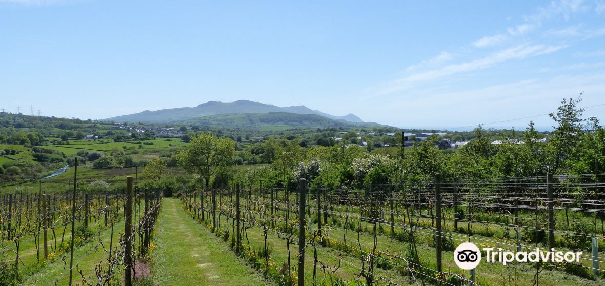 Llanllyfni Travel Guide 2023 Things to Do, What To Eat & Tips