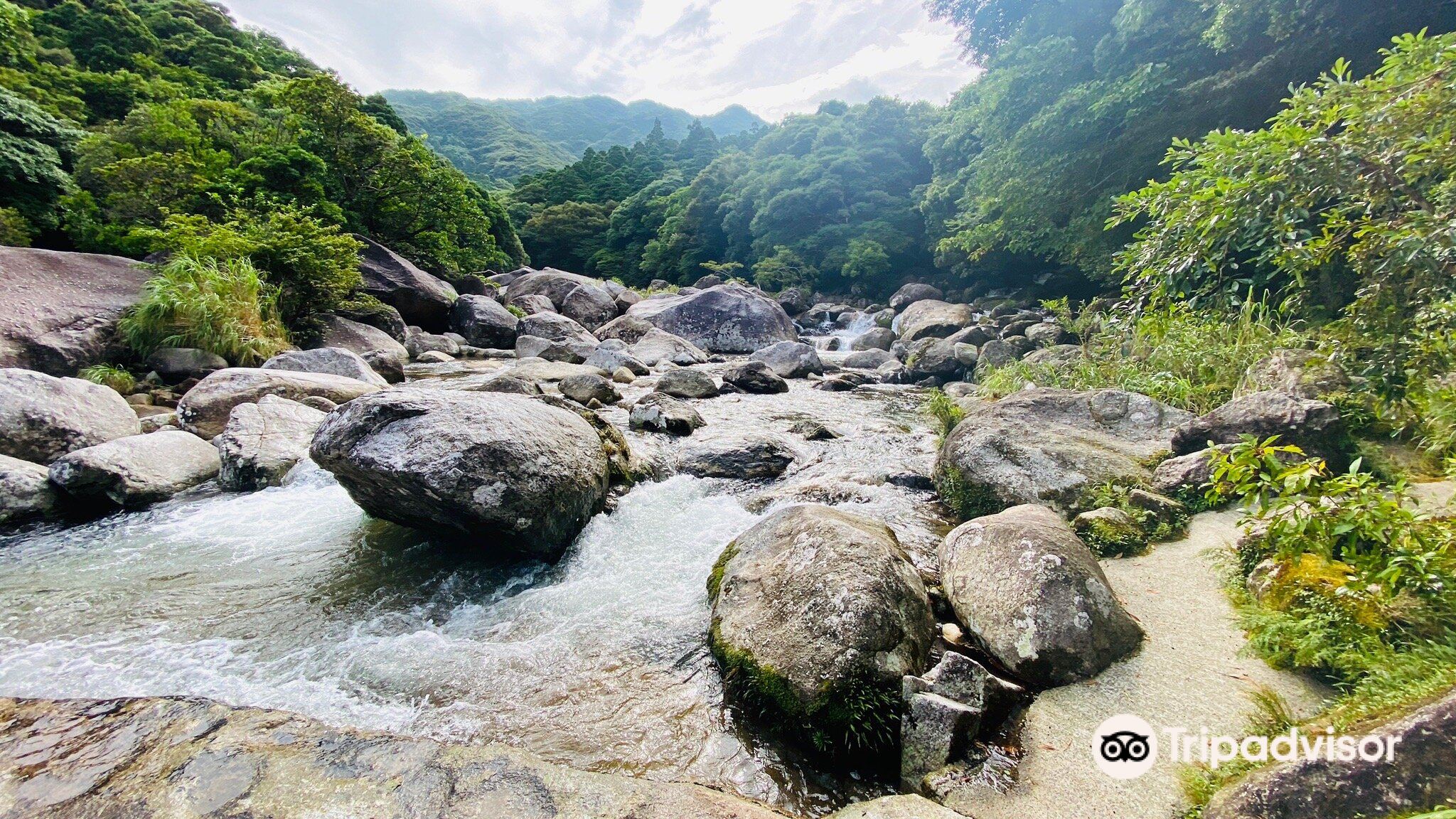横河渓谷のレビュー 横河渓谷のチケット 横河渓谷の割引 横河渓谷の交通機関 所在地 営業時間 横河渓谷周辺の観光スポット ホテル グルメ Trip Com