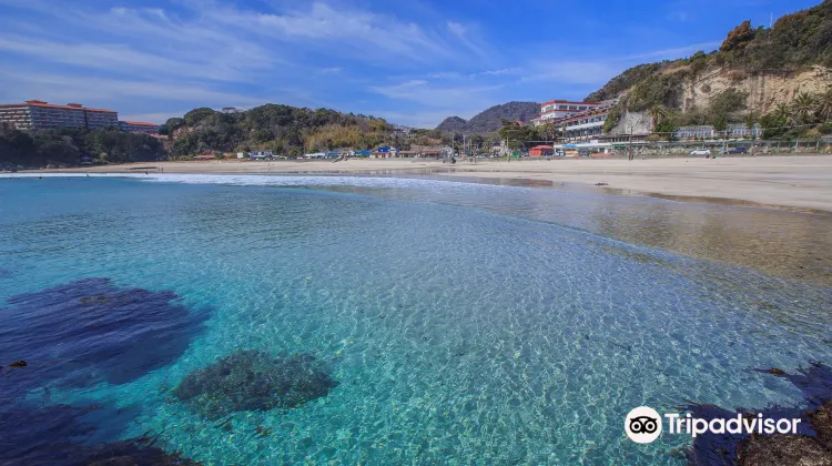下田 多々戸浜海水浴場 評判 案内 トリップドットコム