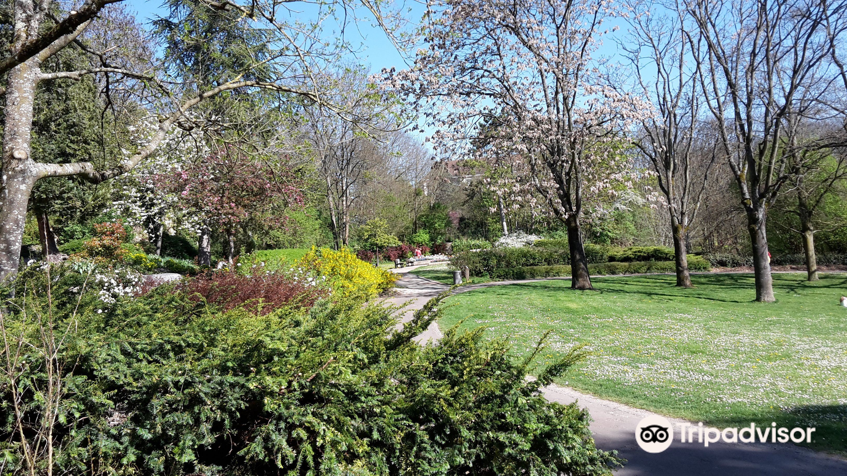 Parc Des Carrieres Bacquin Travel Guidebook Must Visit Attractions In Dijon Parc Des Carrieres Bacquin Nearby Recommendation Trip Com