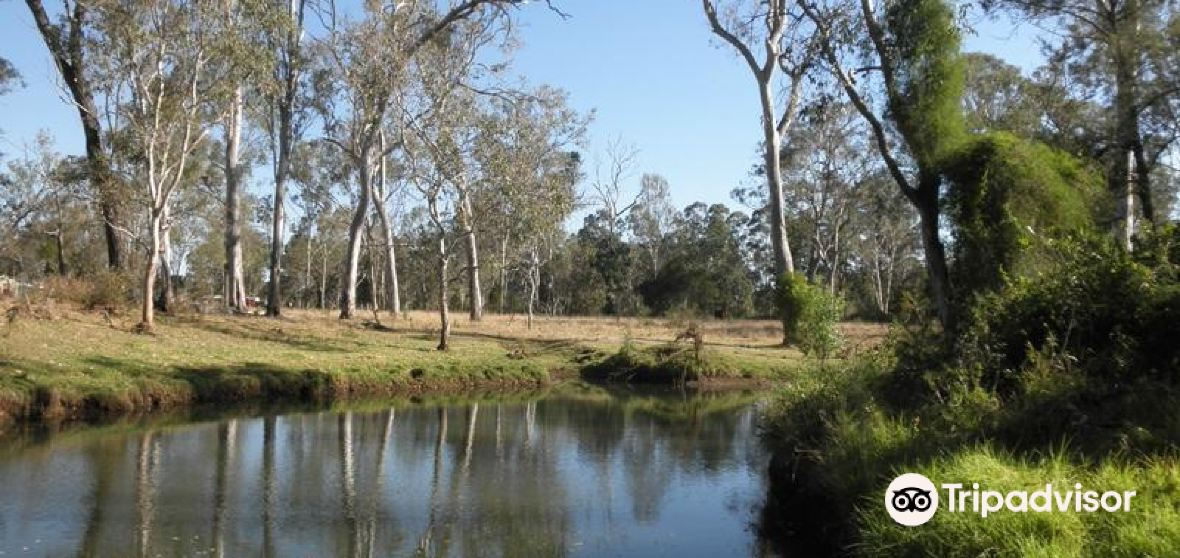 Yarraden Travel Guide 2024 Things to Do, What To Eat & Tips