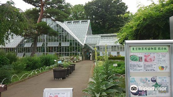 東京都薬用植物園景點評價 東京都薬用植物園門票 東京都薬用植物園優惠 東京都薬用植物園交通 地址 開放時間 東京都薬用植物園 附近景點 酒店及美食 Trip Com