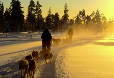 Husky Ranch Lapland รูปภาพAttractionsยอดนิยม