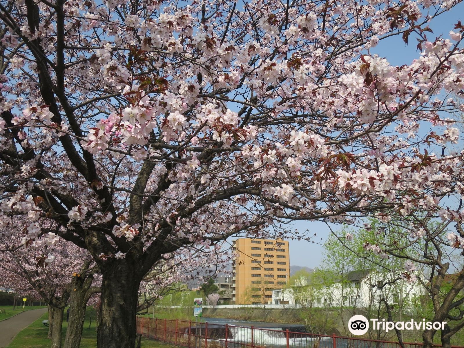 Hassamukahan Park景點評價 Hassamukahan Park門票 Hassamukahan Park優惠 Hassamukahan Park交通 地址 開放時間 Hassamukahan Park附近景點 酒店及美食 Trip Com