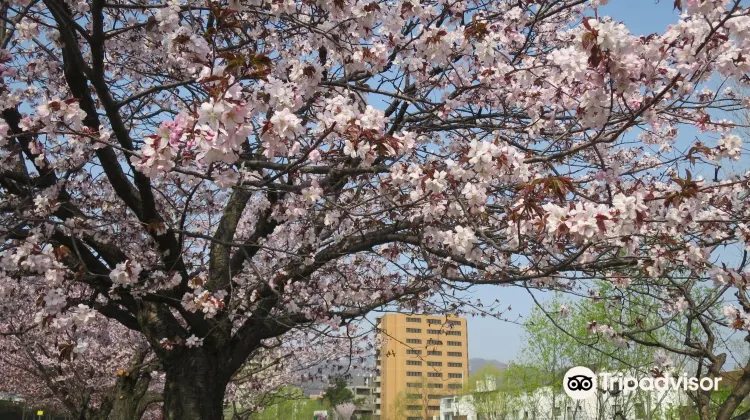 Hassamukahan Park景點評價 Hassamukahan Park門票 Hassamukahan Park優惠 Hassamukahan Park交通 地址 開放時間 Hassamukahan Park附近景點 酒店及美食 Trip Com