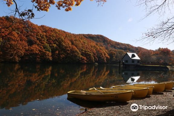 宮城藏王狐狸村景點評價 宮城藏王狐狸村門票 宮城藏王狐狸村優惠 宮城藏王狐狸村交通 地址 開放時間 宮城藏王狐狸村附近景點 酒店及美食 Trip Com