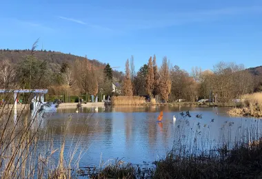 Horbach Park รูปภาพAttractionsยอดนิยม