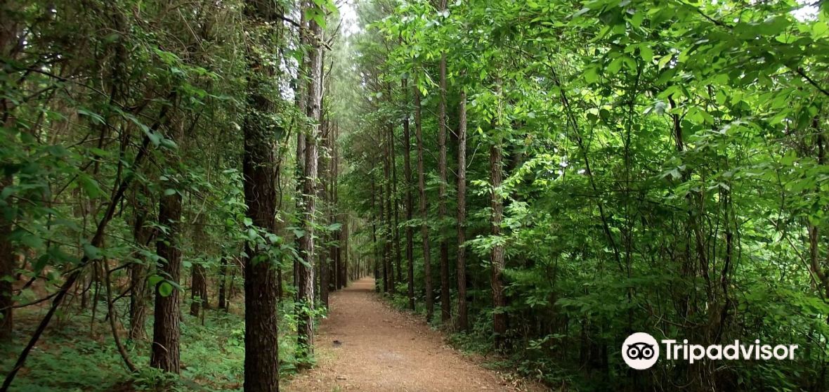 West Blocton Travel Guide 2023 Things to Do, What To Eat & Tips