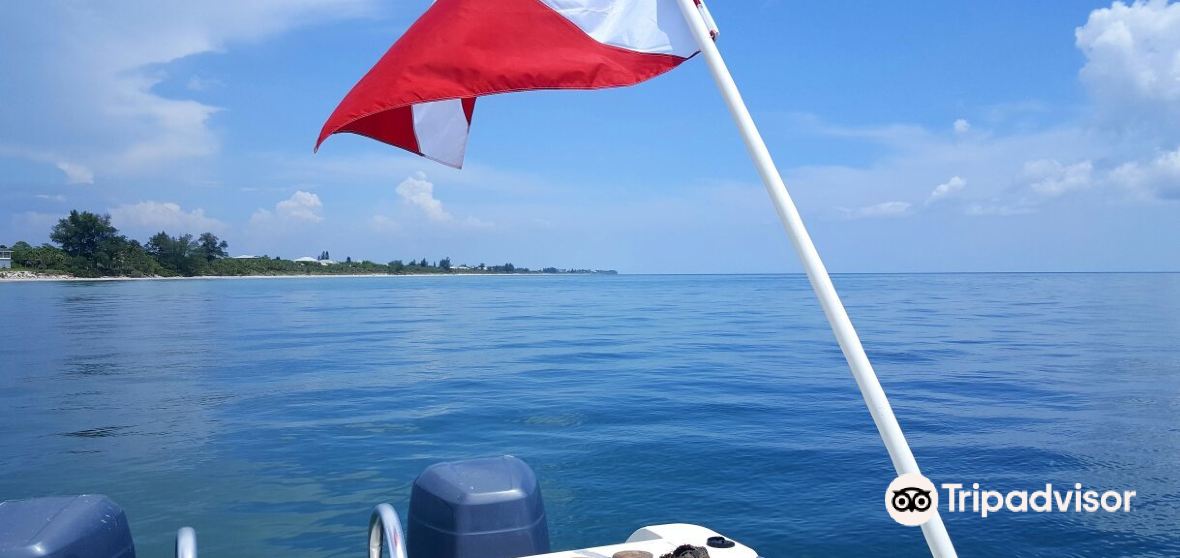 Venice Gardens Travel Guide 2023 Things to Do, What To Eat & Tips