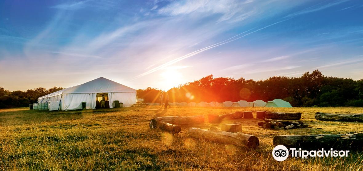 and Sandford Travel Guide 2023 Things to Do, What To Eat