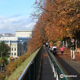Banc de la Treille