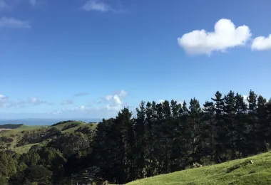 Mount Auckland Atuanui Walkway รูปภาพAttractionsยอดนิยม