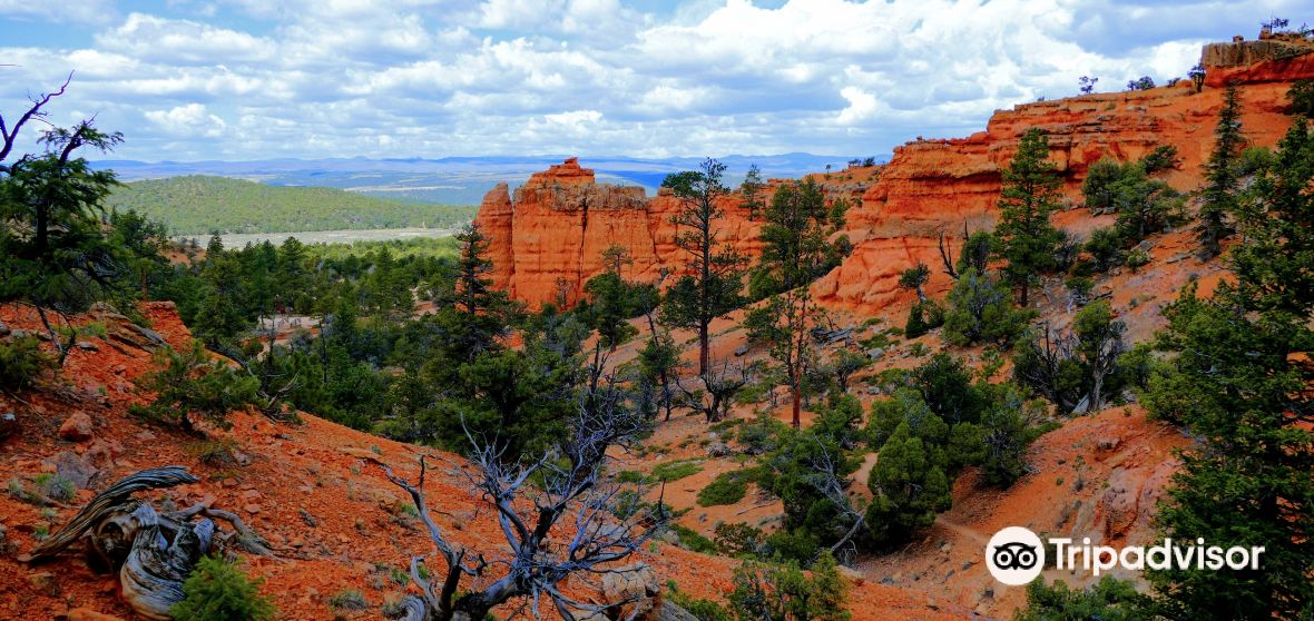 Panguitch Travel Guide 2023 Things to Do, What To Eat & Tips