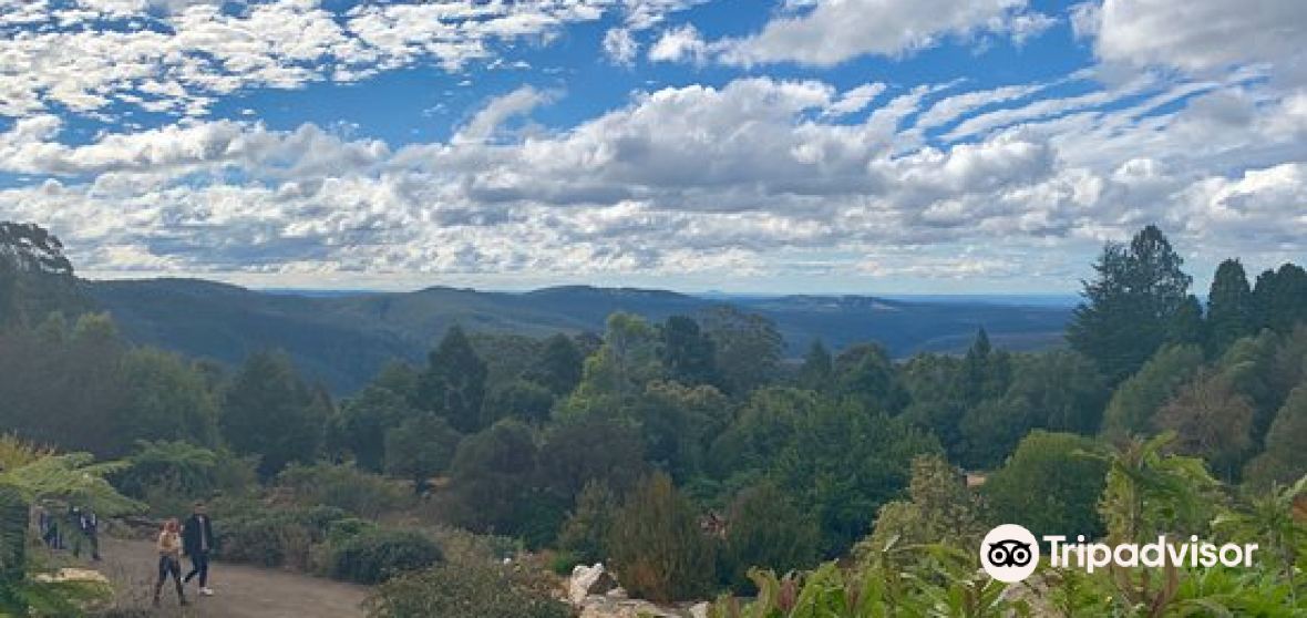 Mount Tomah Travel Guide 2024 Things to Do, What To Eat & Tips