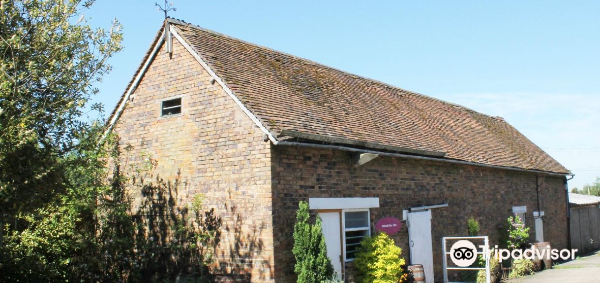 กิจกรรมน่าทำยอดนิยมในHope Bagotประจำปี 2023 คู่มือท่องเที่ยวHope