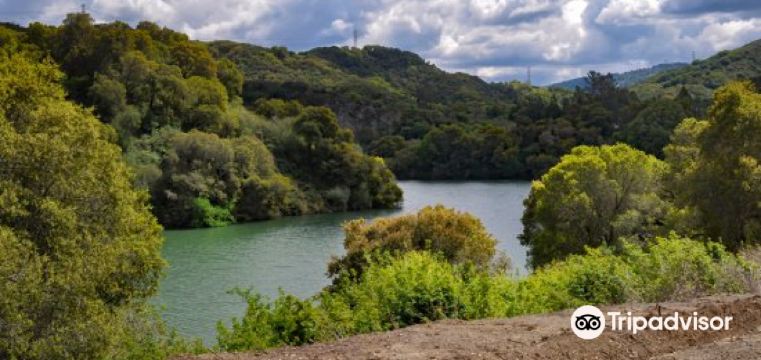 10 Best Things to do in Cupertino, Santa Clara County Cupertino