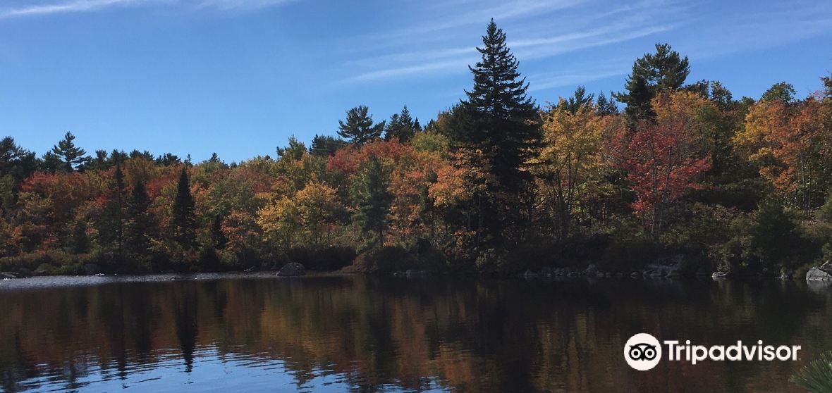 แนะนำการเดินทาง Porters Lake 2023 สิ่งที่ควรทำ, อาหารที่ควรรับประทาน