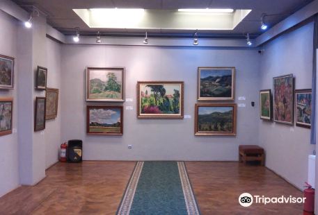Central Baia Mare Art Museum