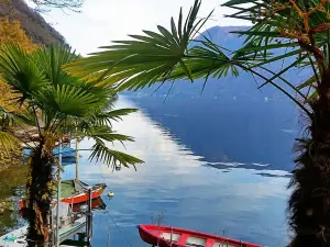 Sentiero dell'olivo