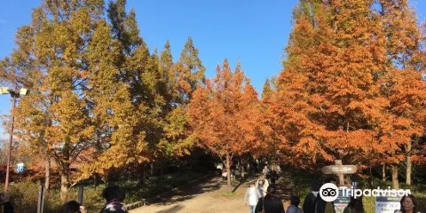 神戶市立森林植物園