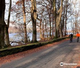 Lake District Bikes