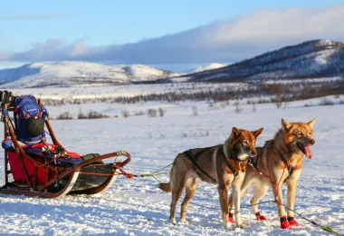Husky Ranch Lapland รูปภาพAttractionsยอดนิยม