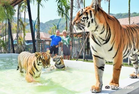 Tiger PARK Phuket