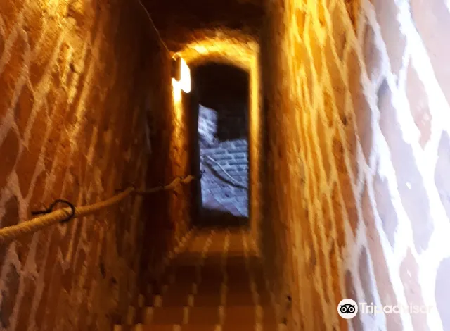 タルトゥ 聖ヨハネ教会 評判 案内 トリップドットコム