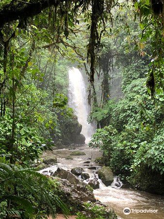 6월의 La Paz Waterfall And Peace Lodge Gardens에 대한 최신 여행 일정 (2023에 업데이트됨), La  Paz Waterfall And Peace Lodge Gardens 리뷰, La Paz Waterfall And Peace Lodge  Gardens 주소 및 영업시간,