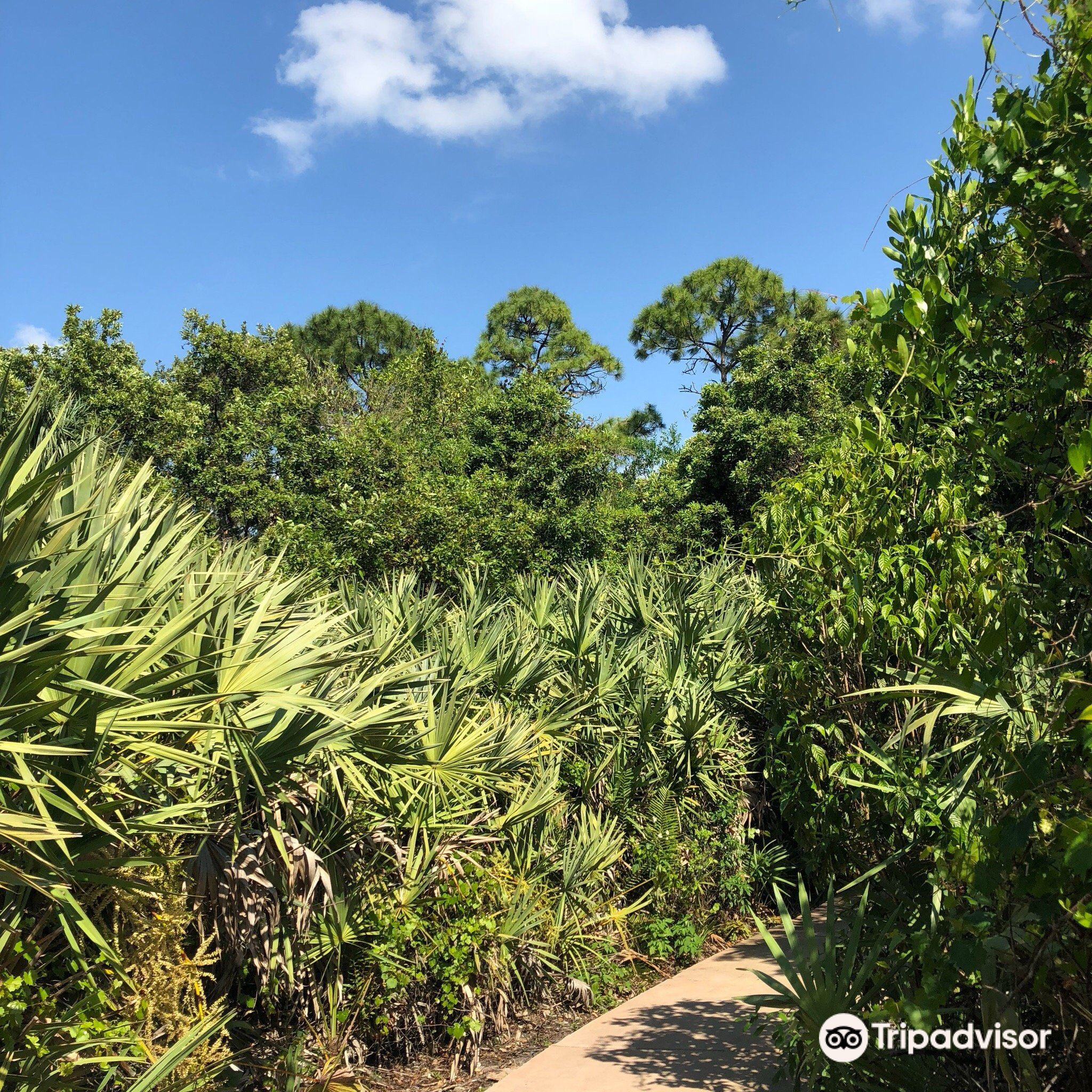 Hillsboro Pineland Natural Area Travel Guidebook Must Visit Attractions In Coconut Creek Hillsboro Pineland Natural Area Nearby Recommendation Trip Com