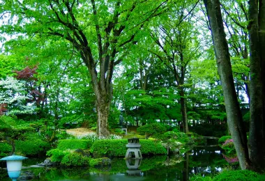 Homare Sake Brewery รูปภาพAttractionsยอดนิยม