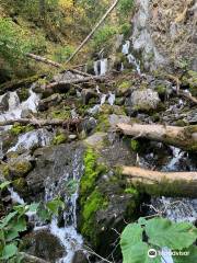 Pioneer Falls