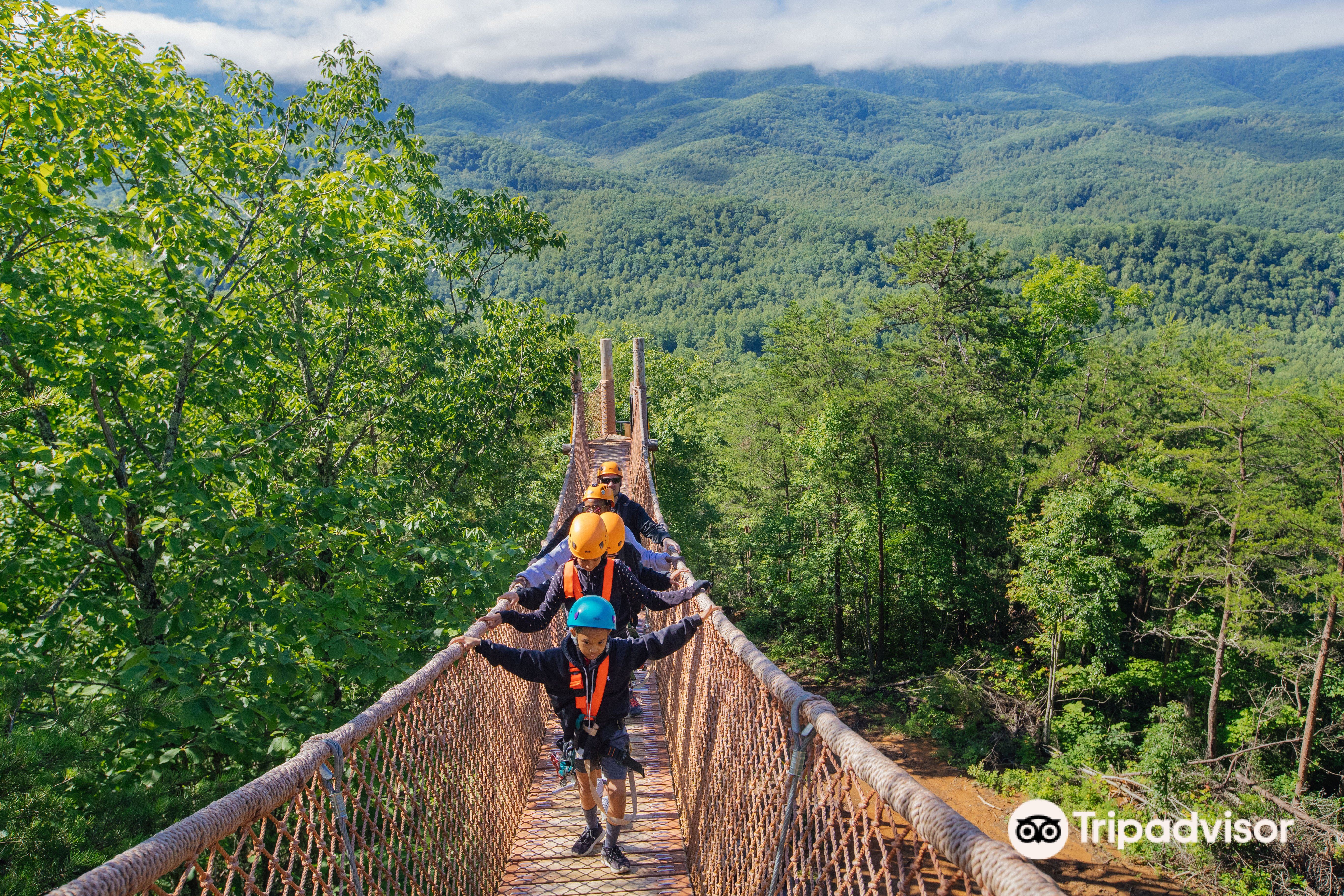 CLIMB Works Smoky Mountains - Zipline Tour attraction reviews - CLIMB Works Smoky  Mountains - Zipline Tour tickets - CLIMB Works Smoky Mountains - Zipline  Tour discounts - CLIMB Works Smoky Mountains -