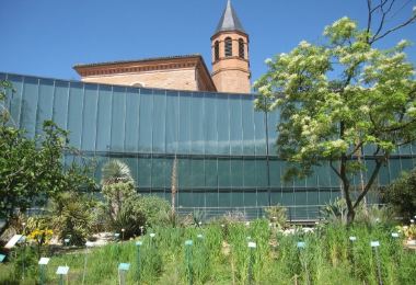 Museum de Toulouse Popular Attractions Photos