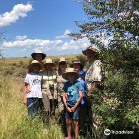 Gamewatchers Safaris
