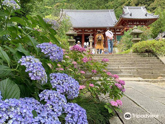 八大寺 金城山寺 旅遊攻略指南 八大寺 金城山寺 評價 八大寺 金城山寺 附近推薦 Trip Com