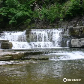 Wintergreen Park And Falls