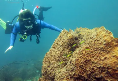 Taganga Diving Station 熱門景點照片