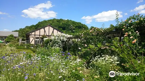 熊山英國庭園旅遊攻略指南 熊山英國庭園評價 熊山英國庭園附近推薦 Trip Com