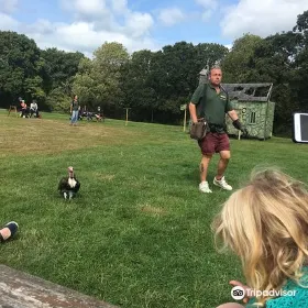 Haven Falconry