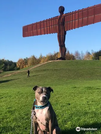 ラムズリー エンジェル オブ ザ ノース 評判 案内 トリップドットコム