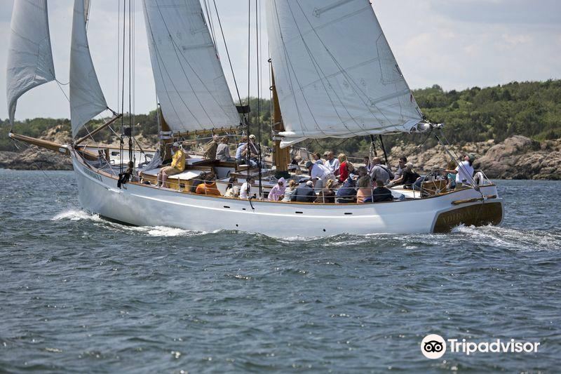 Adirondack ii Clearance
