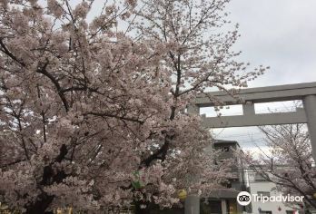 桜トンネル南 観光スポットの人気写真