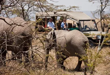 Serene East Africa Safaris Limited รูปภาพAttractionsยอดนิยม