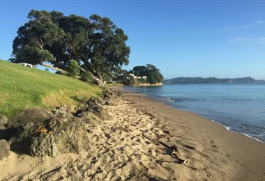 Red Beach, Auckland รูปภาพAttractionsยอดนิยม